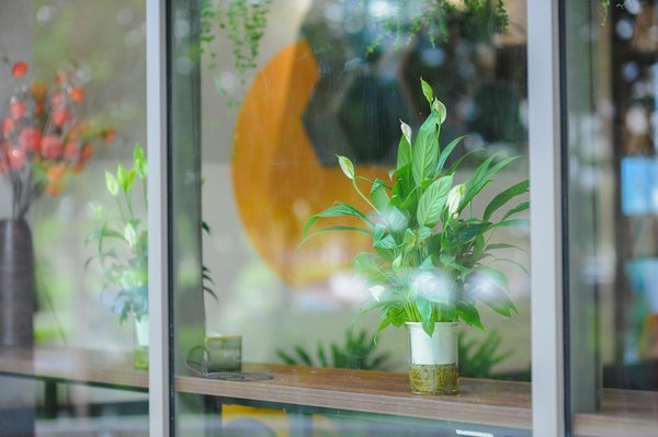 Devenez un expert en relation client : maîtrisez les clés du succès pour les e-commerçants !